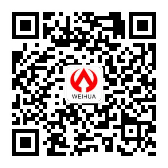 海豚·体育